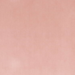 Cleo Rosewater