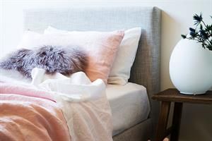 Paddo Bed
