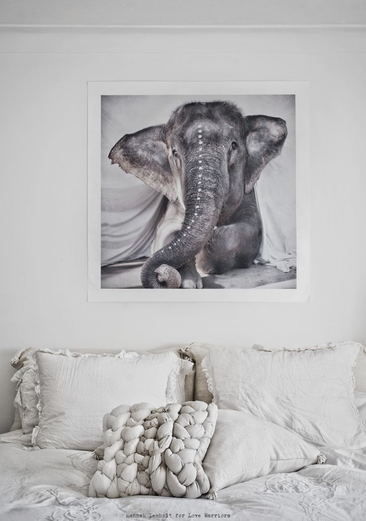 Large elephant print in the bedroom