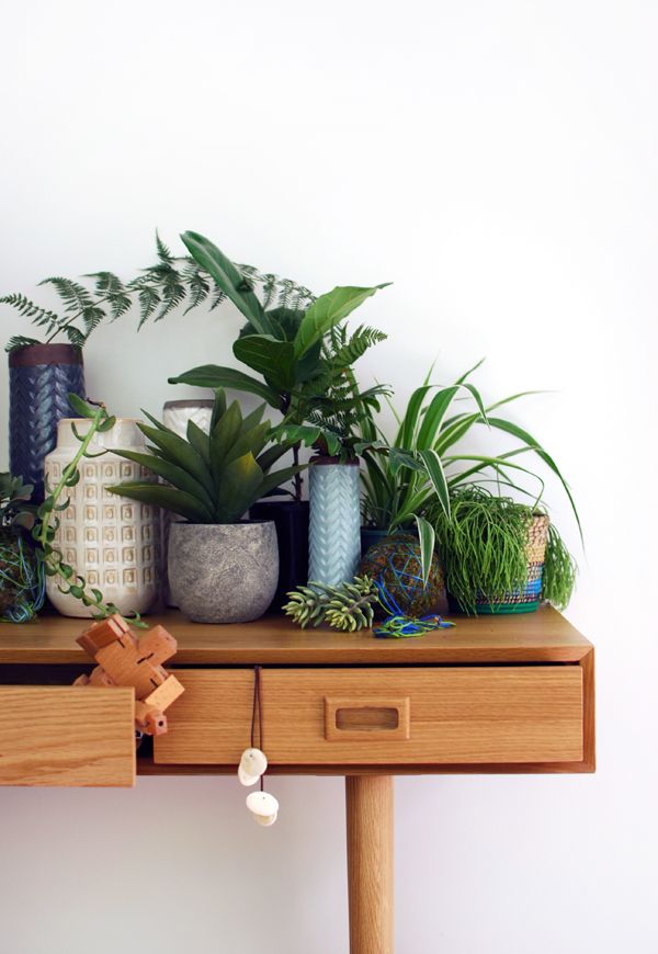 Indoor plant filled side table