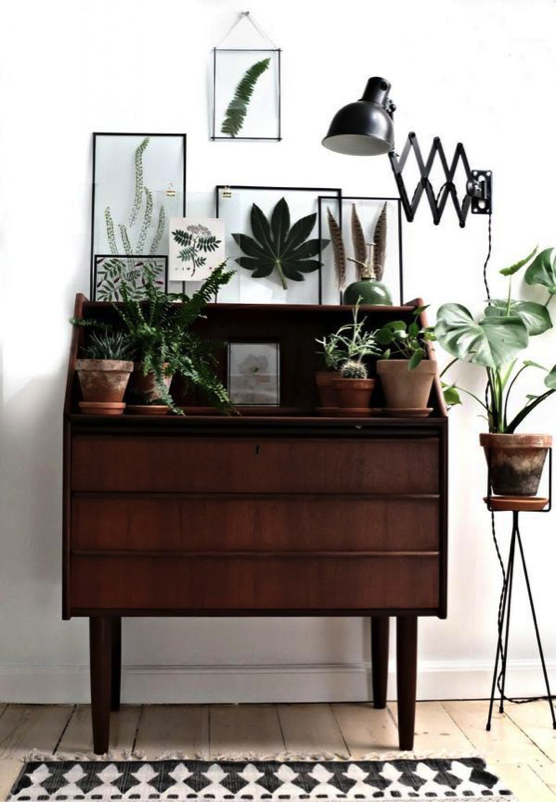 Dresser filled with plants